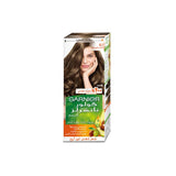 Garnier Color Naturals Creme - 6.1 Dark Ash Blonde - 60+40+12ml